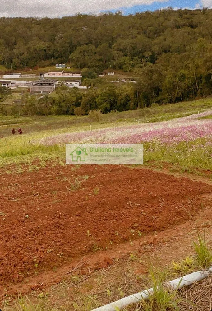 Terreno, 6 hectares - Foto 2