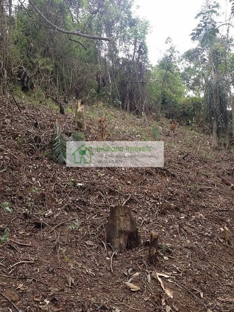 Terreno, 3300 m² - Foto 1