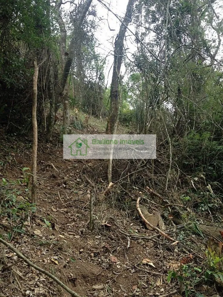 Terreno, 3300 m² - Foto 2