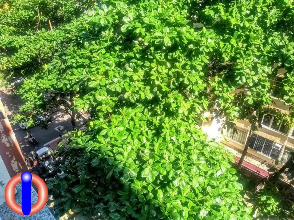 Apartamento, 1 quarto, 30 m² - Foto 14