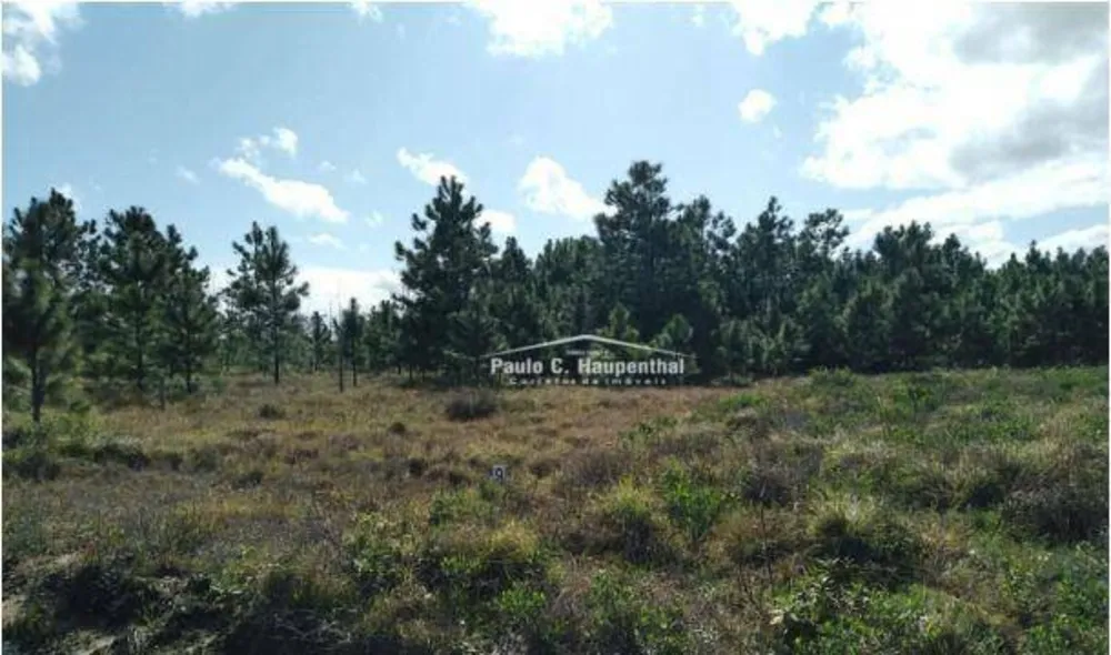 Terreno, 300 m² - Foto 1