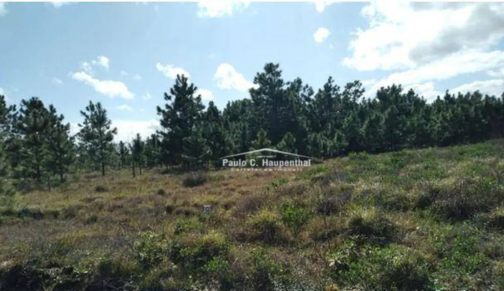 Terreno, 300 m² - Foto 2