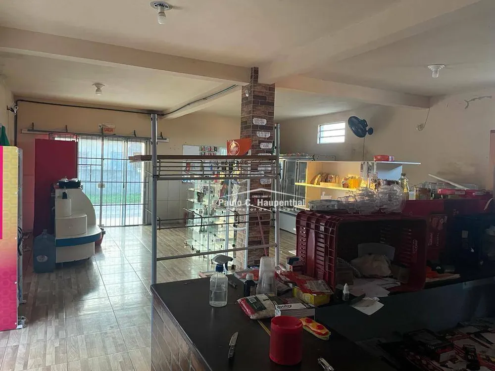 Casa, 6 quartos, 250 m² - Foto 6