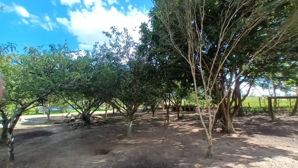 Chácara, 2 quartos, 1 hectares - Foto 10