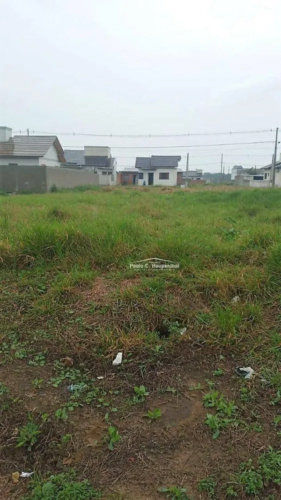 Terreno, 300 m² - Foto 3