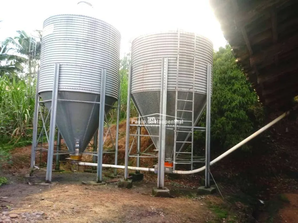 Sítio, 4 quartos, 2 hectares - Foto 8
