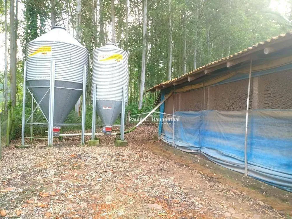 Sítio, 4 quartos, 2 hectares - Foto 10