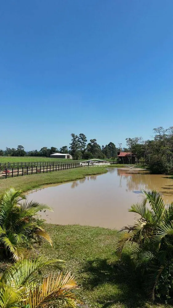 Sítio, 2 quartos, 6 hectares - Foto 1