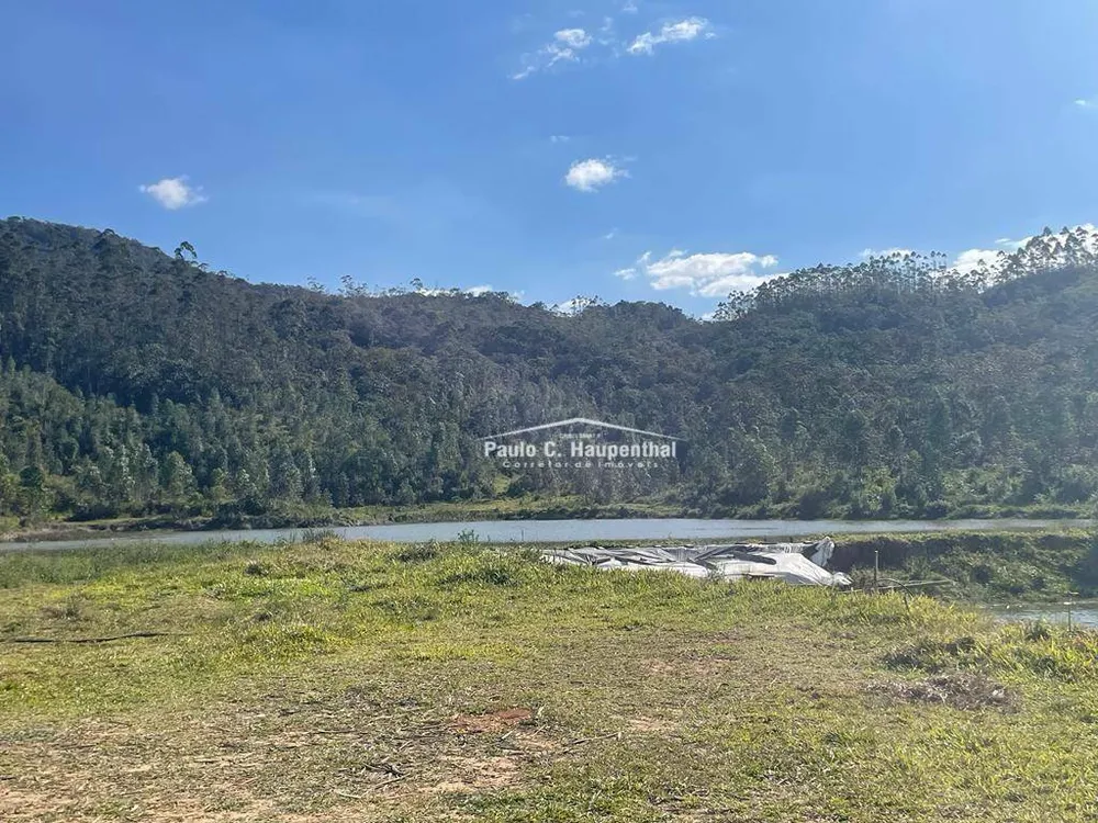 Fazenda, 98 hectares - Foto 8