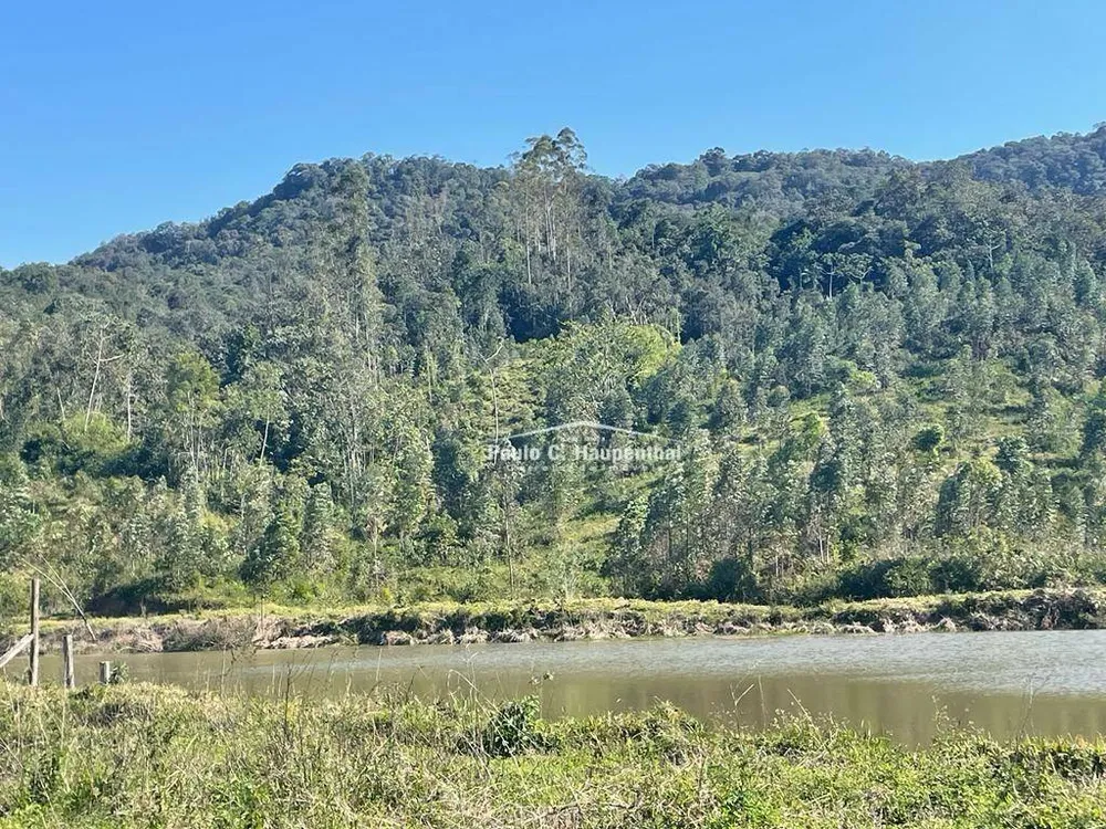 Fazenda, 98 hectares - Foto 3