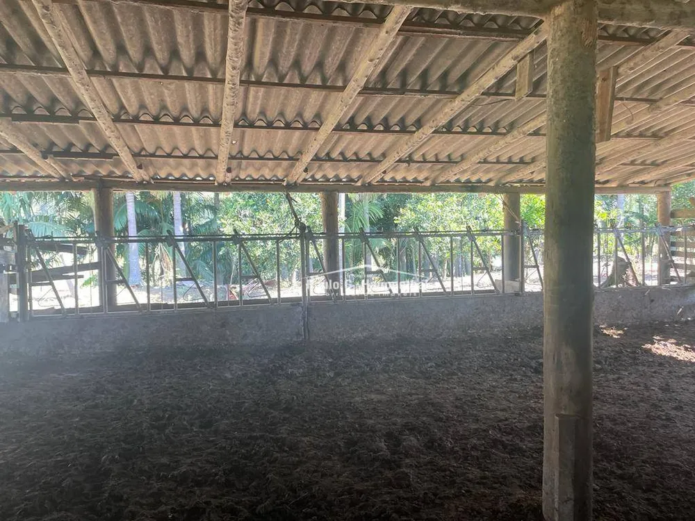 Fazenda, 98 hectares - Foto 7