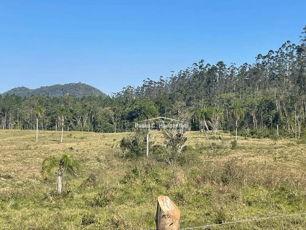 Fazenda, 98 hectares - Foto 10