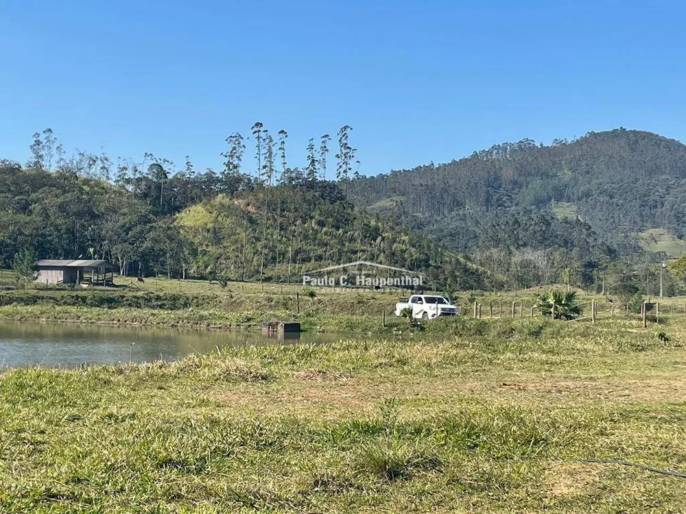 Fazenda, 98 hectares - Foto 9