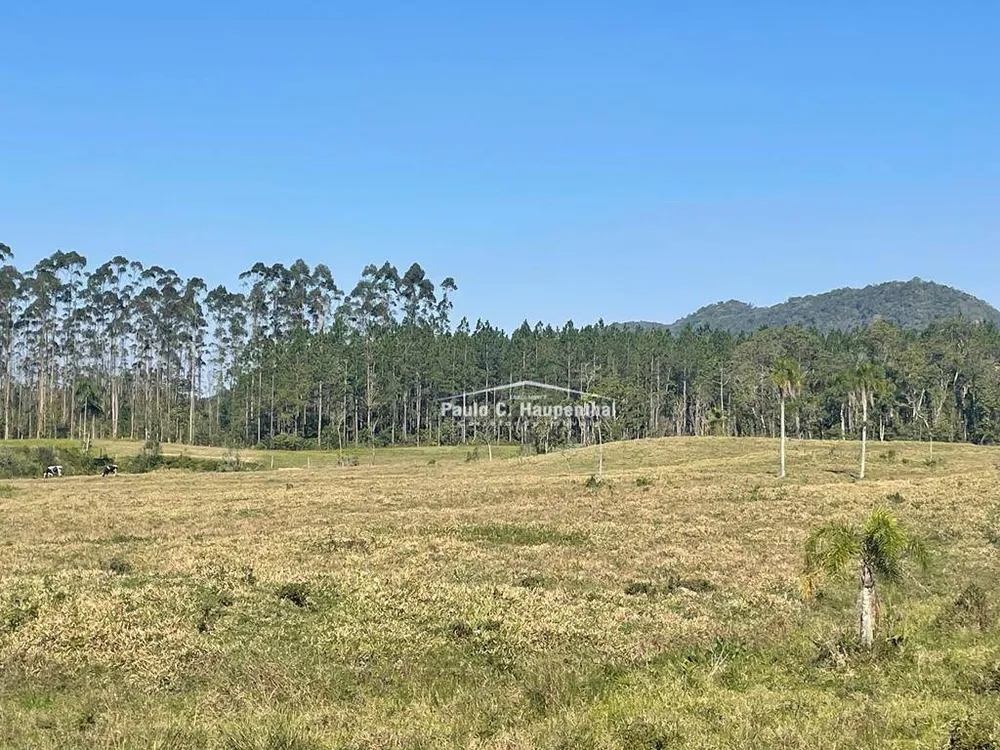 Fazenda, 98 hectares - Foto 11