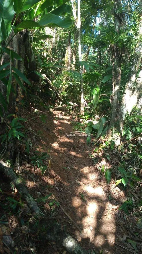 Sítio, 1 quarto, 9 hectares - Foto 15