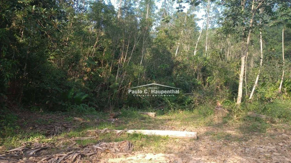 Sítio, 1 quarto, 9 hectares - Foto 11