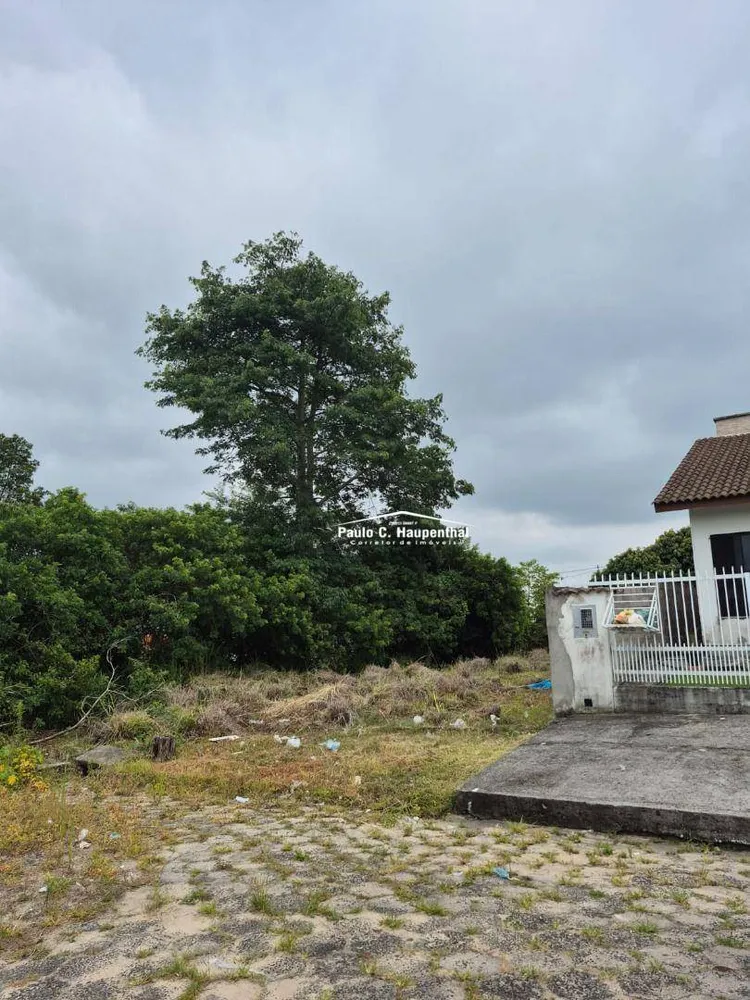 Terreno, 297 m² - Foto 6