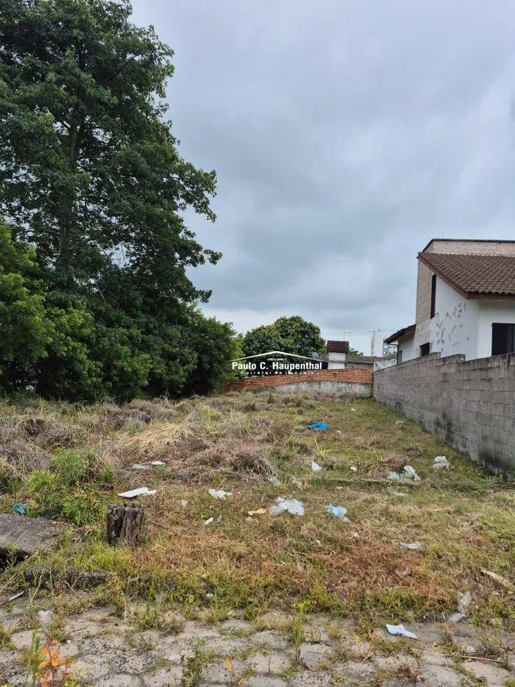 Terreno, 297 m² - Foto 5