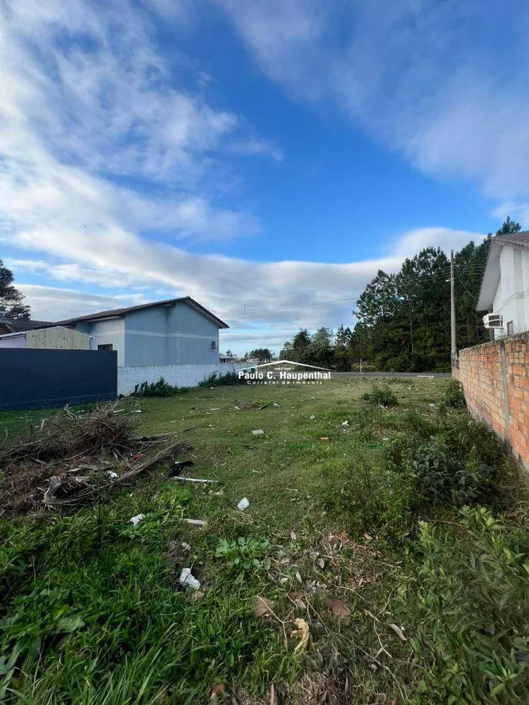 Terreno, 318 m² - Foto 6