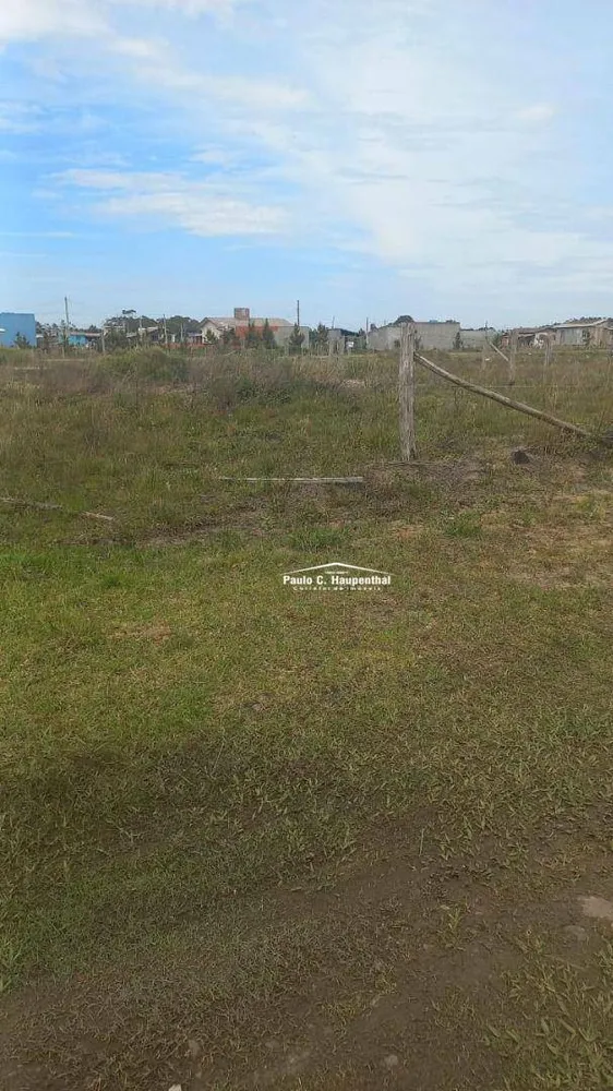 Terreno, 300 m² - Foto 4