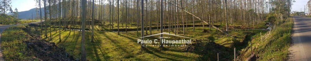 Sítio, 6 hectares - Foto 1