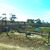 Terreno, 300 m² - Foto 1