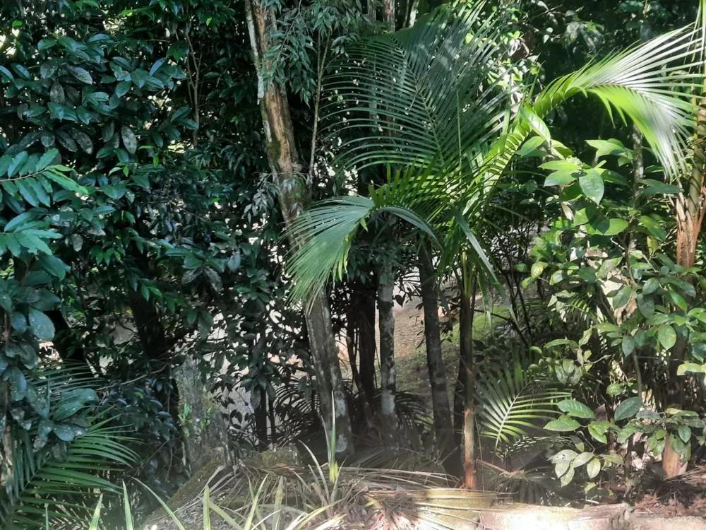 Chácara, 2 quartos, 3000 m² - Foto 16