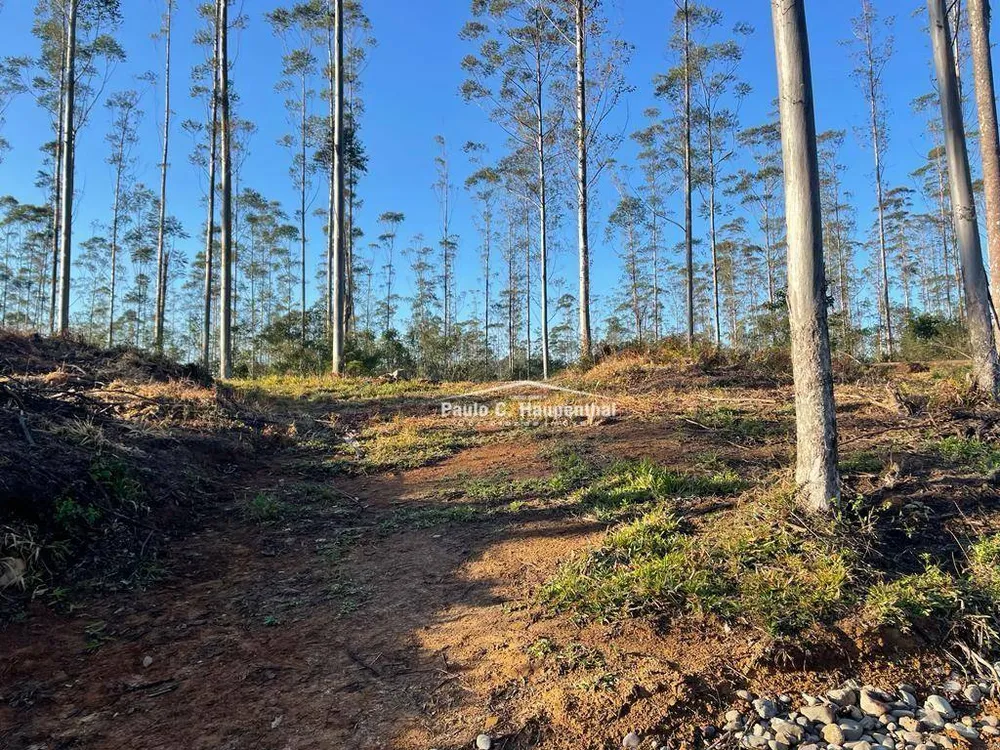 Terreno, 30 hectares - Foto 10