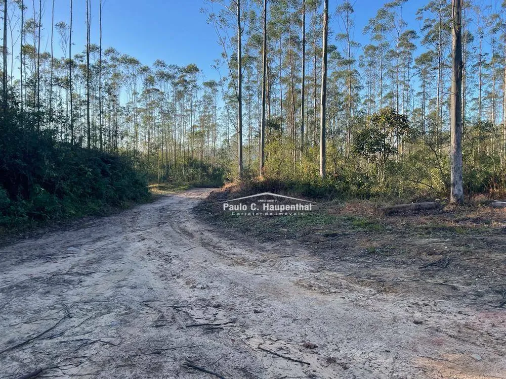 Terreno, 30 hectares - Foto 13