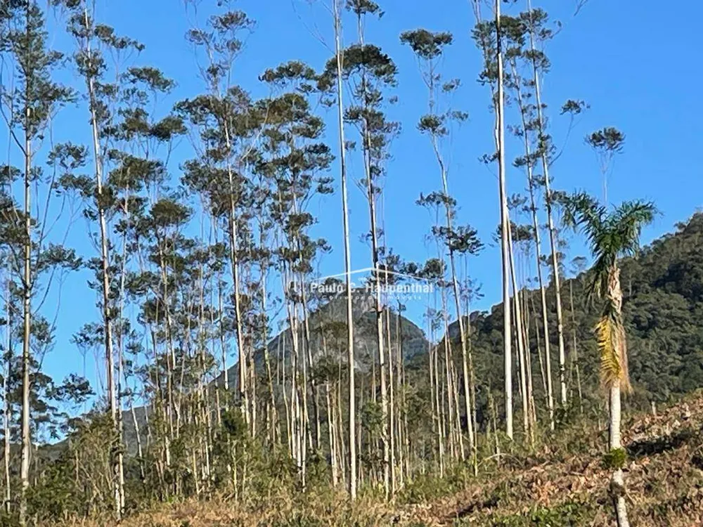 Terreno, 30 hectares - Foto 4