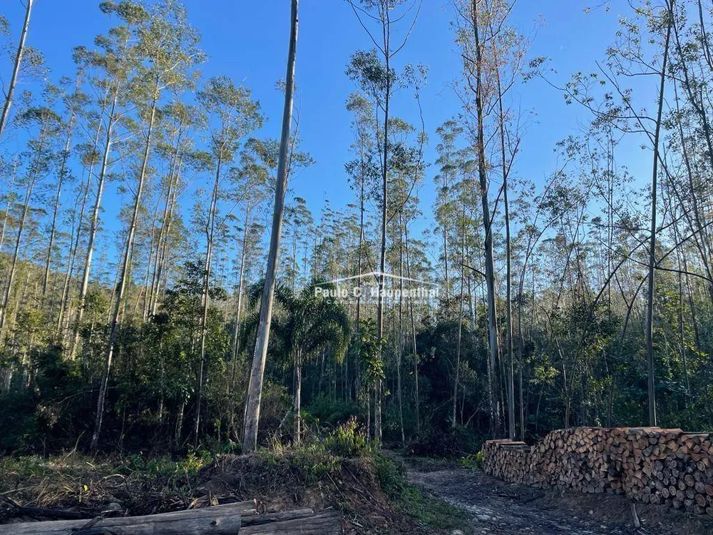 Terreno, 30 hectares - Foto 16