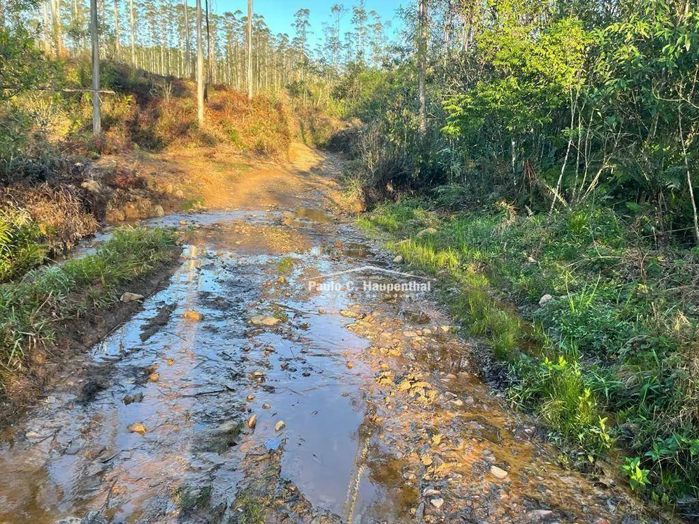 Terreno, 30 hectares - Foto 12