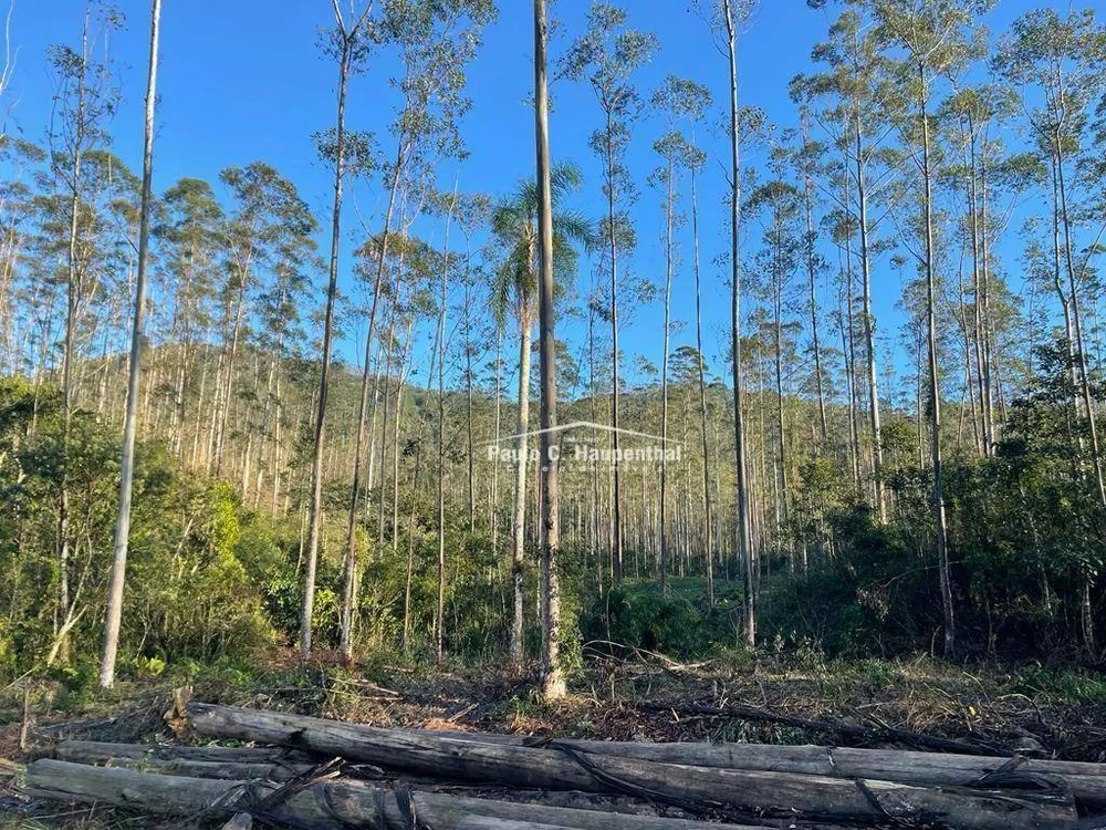 Terreno, 30 hectares - Foto 15