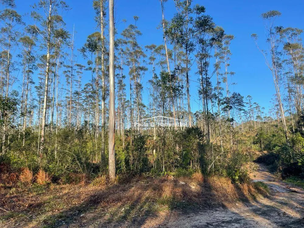 Terreno, 30 hectares - Foto 14