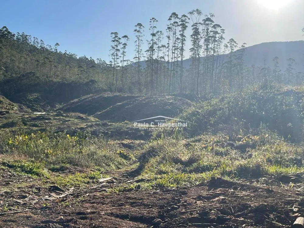 Terreno, 30 hectares - Foto 3