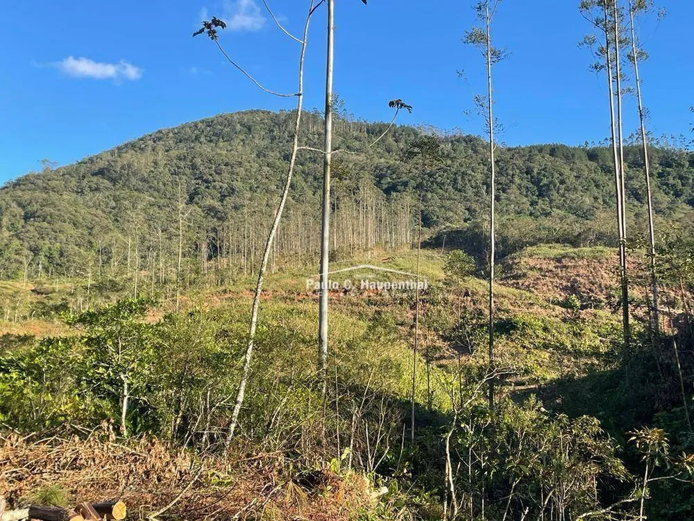 Terreno, 30 hectares - Foto 7