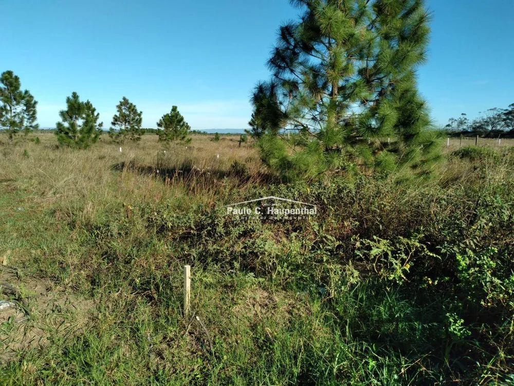 Terreno, 300 m² - Foto 2