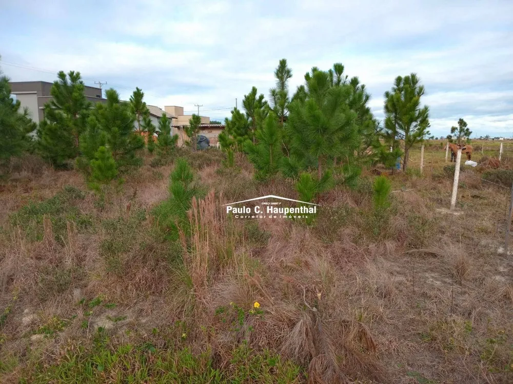 Terreno, 360 m² - Foto 4