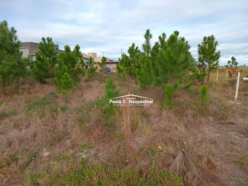 Terreno, 360 m² - Foto 1
