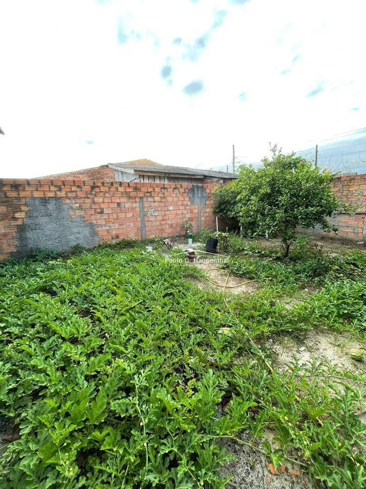 Casa, 4 quartos, 162 m² - Foto 10