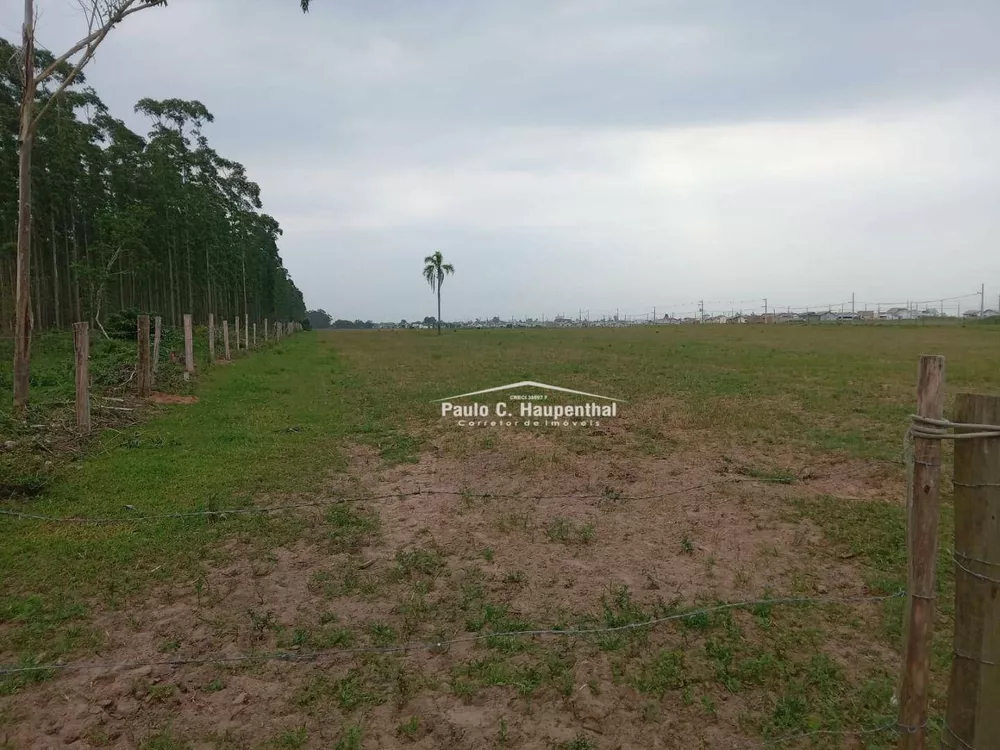 Terreno, 10000 m² - Foto 1