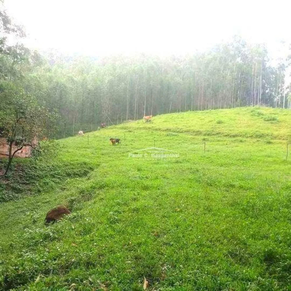 Sítio, 3 quartos, 20 hectares - Foto 10