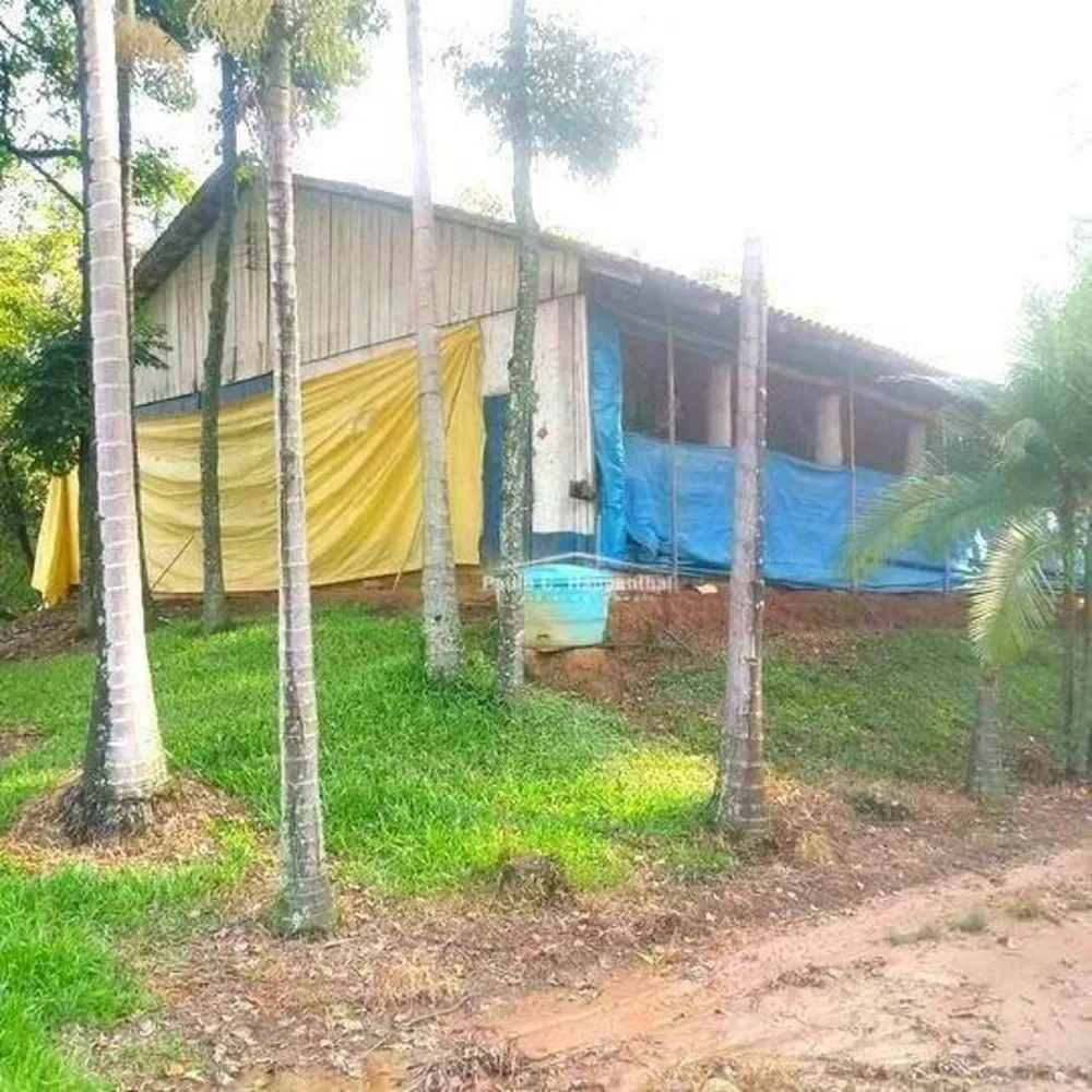 Sítio, 3 quartos, 20 hectares - Foto 15