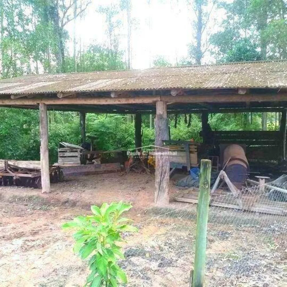 Sítio, 3 quartos, 20 hectares - Foto 16