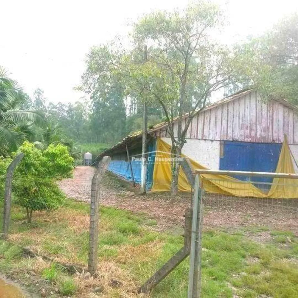 Sítio, 3 quartos, 20 hectares - Foto 12