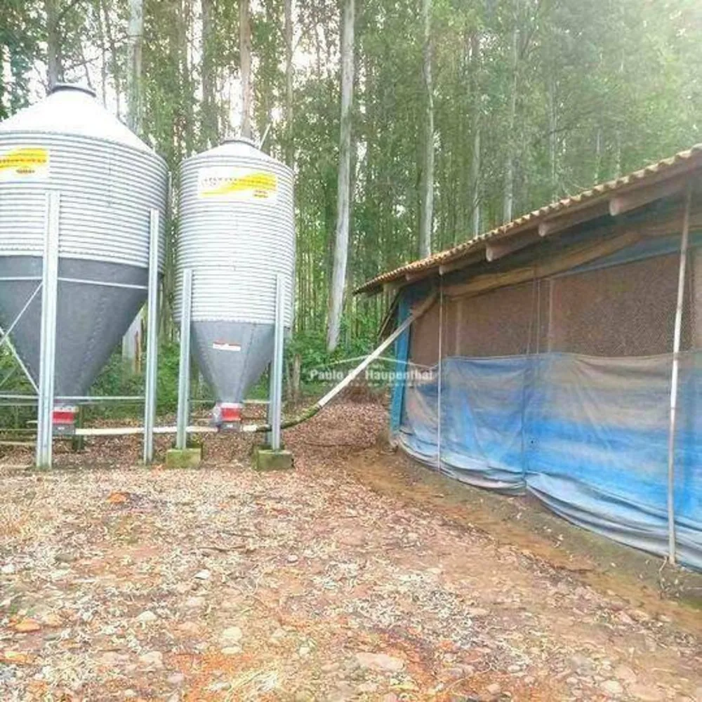 Sítio, 3 quartos, 20 hectares - Foto 8
