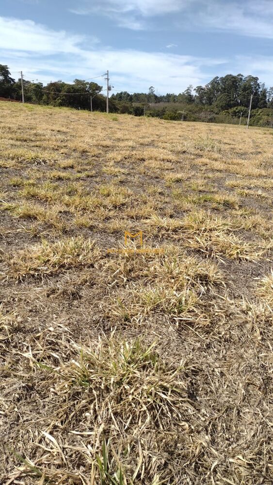 Terreno, 353 m² - Foto 1