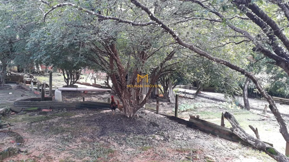 Chácara, 4 quartos - Foto 3