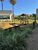 Terreno, 303 m² - Foto 16