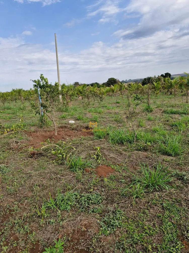 Terreno, 1000 m² - Foto 5